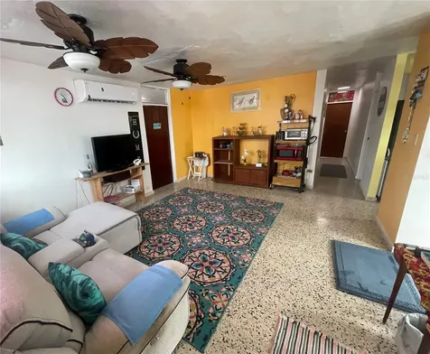303 Coral Street Rio Grande PR 00745