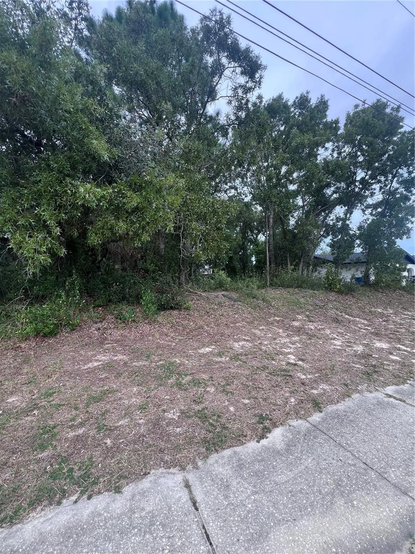 2469 Mariner Boulevard Spring Hill FL 34609