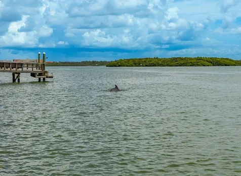 445 129th Avenue E Madeira Beach FL 33708