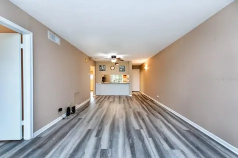 6219 Palma Del Mar Boulevard S St Petersburg FL 33715
