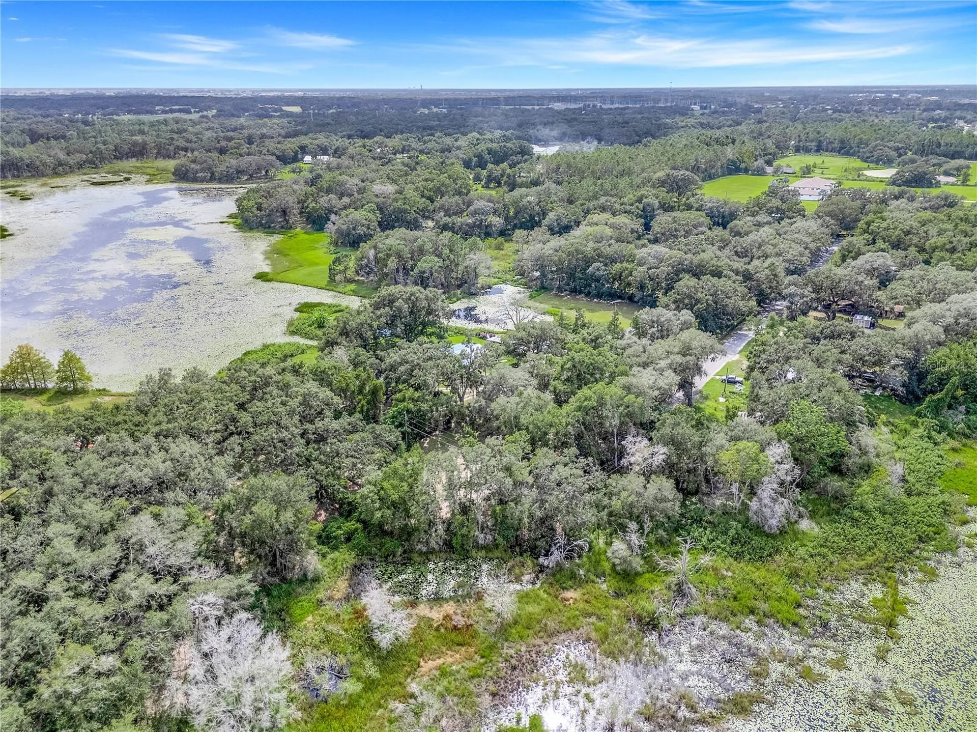 Selman Road Leesburg FL 34748