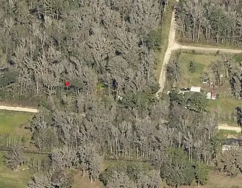 SW 15th Street Ocala FL 34481