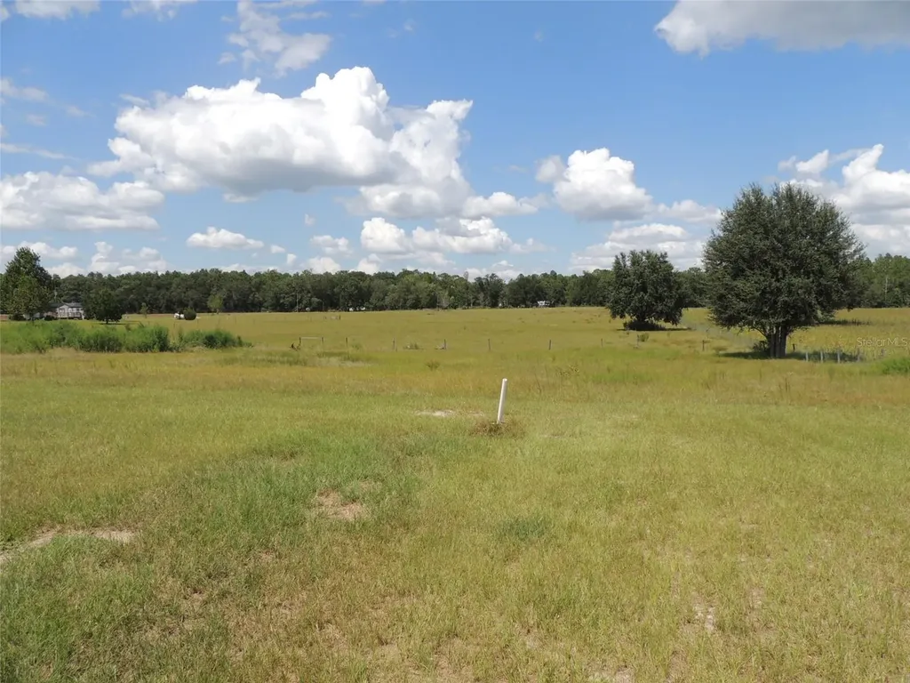 9871 NE 60th Street Bronson FL 32621