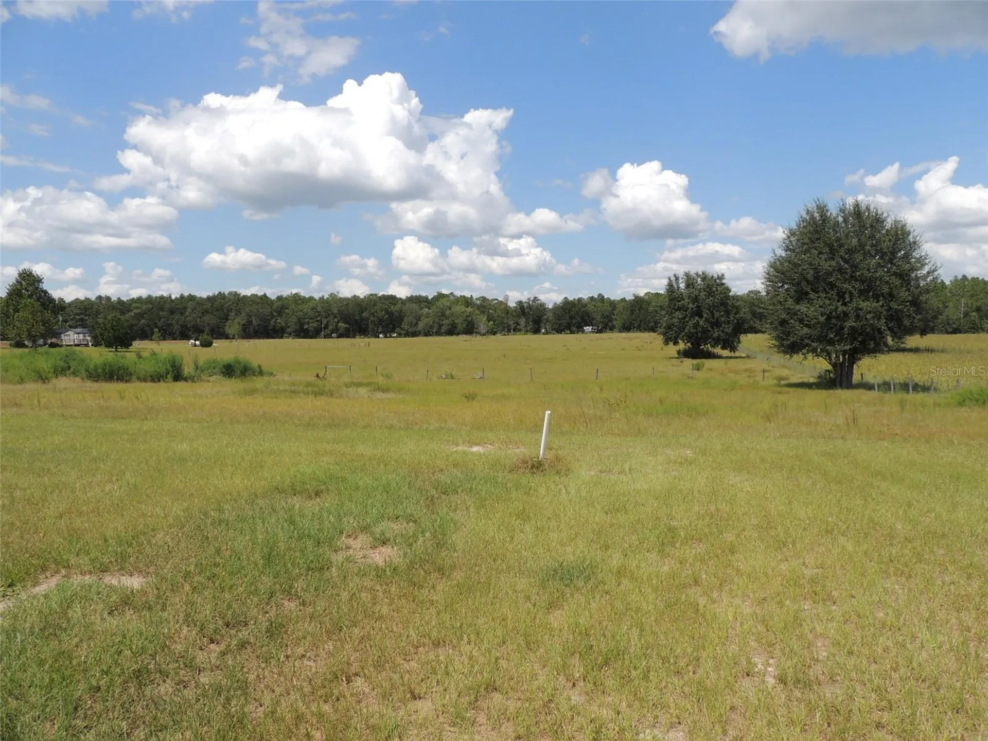 9871 NE 60th Street Bronson FL 32621
