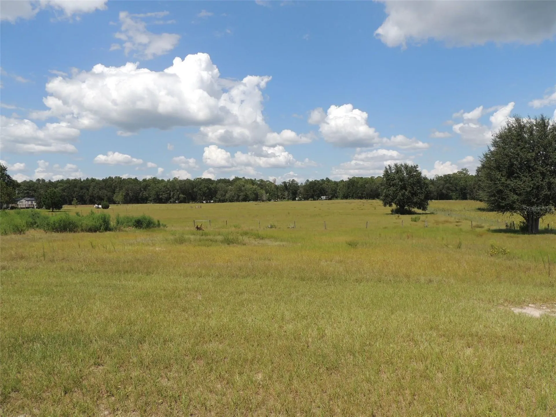 9871 NE 60th Street Bronson FL 32621