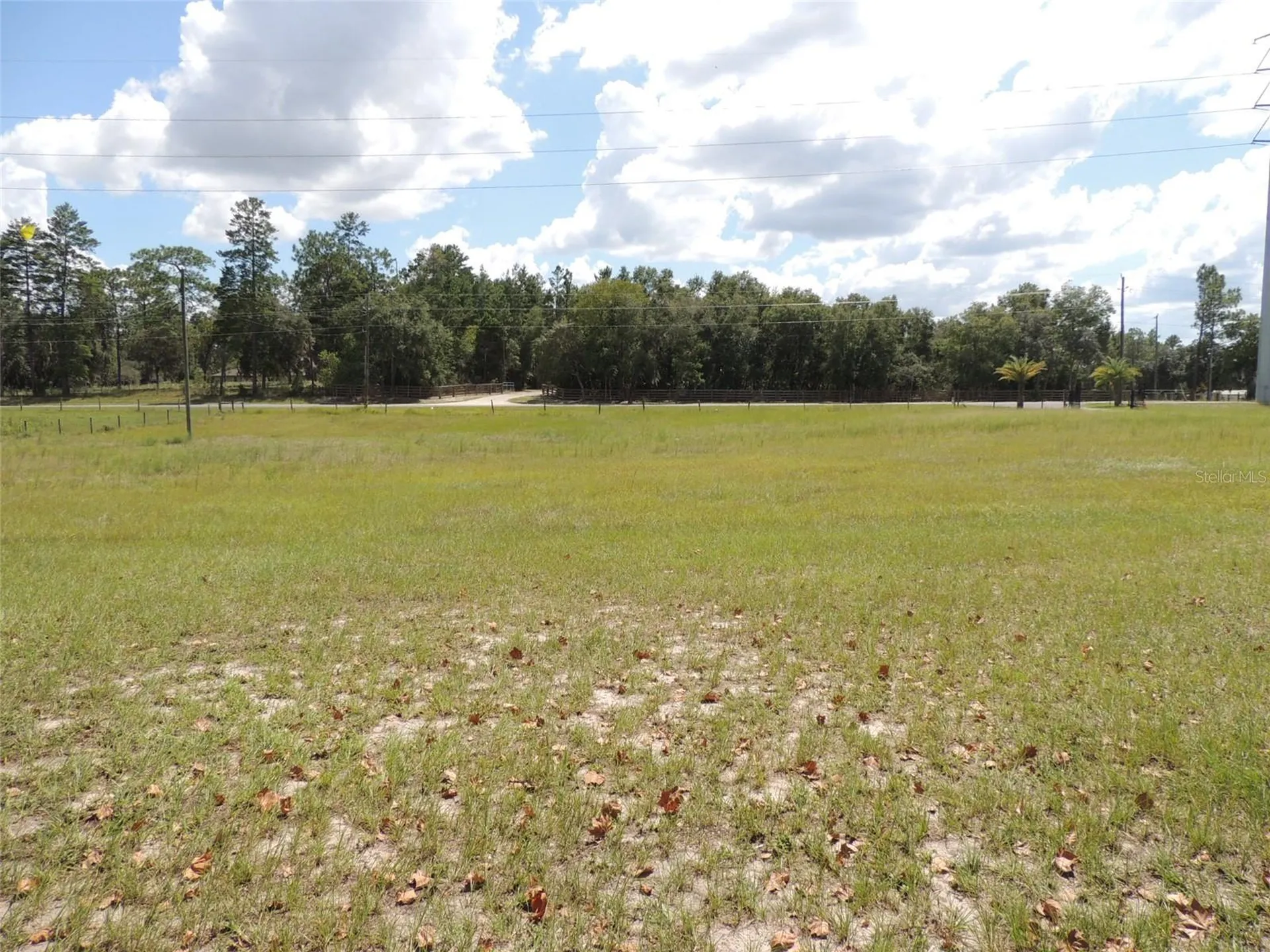 9871 NE 60th Street Bronson FL 32621