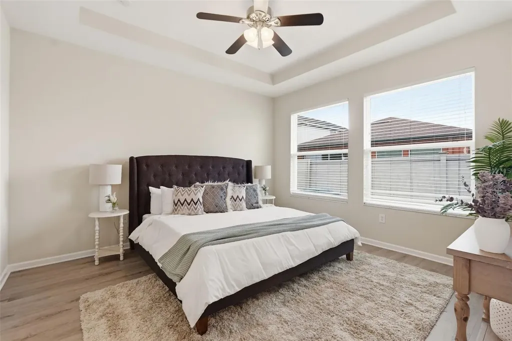 29241 Perilli Place Wesley Chapel FL 33543