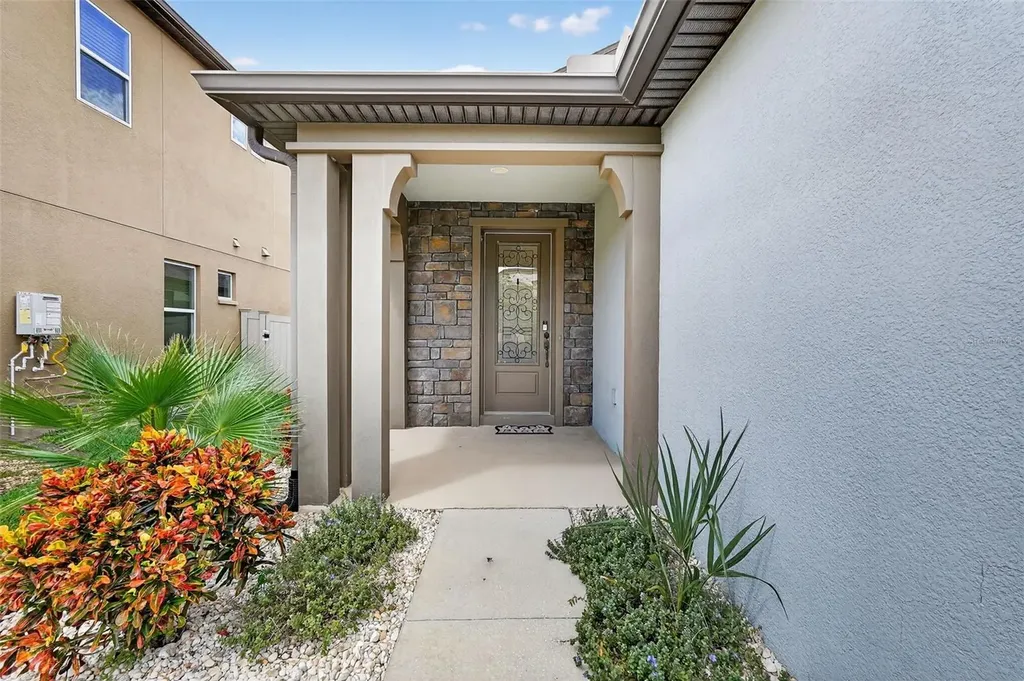 29241 Perilli Place Wesley Chapel FL 33543