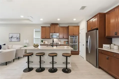 29241 Perilli Place Wesley Chapel FL 33543