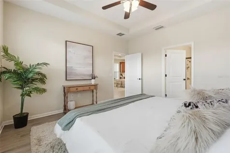 29241 Perilli Place Wesley Chapel FL 33543