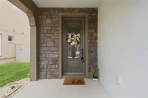 29241 Perilli Place Wesley Chapel FL 33543