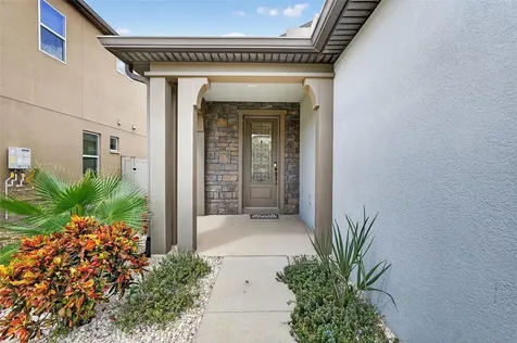 29241 Perilli Place Wesley Chapel FL 33543
