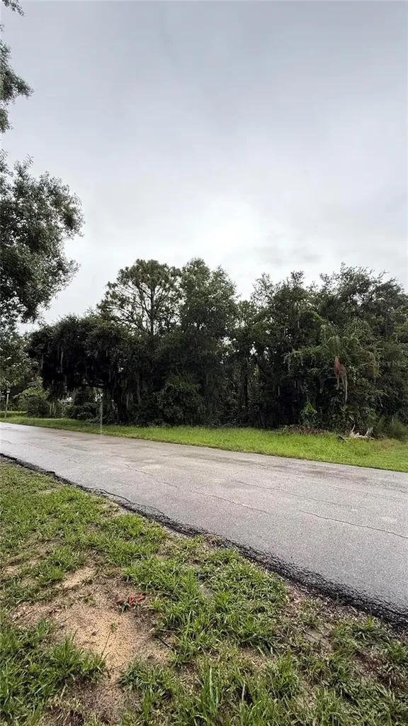 6225 Sherman Terrace Sebring FL 33876