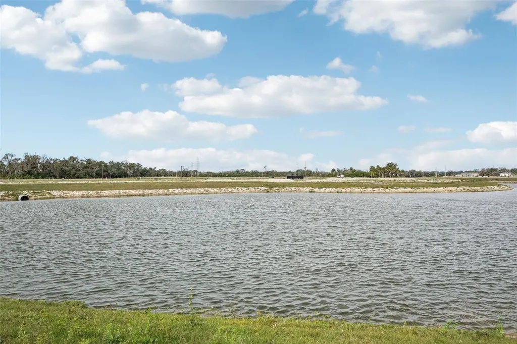 10546 Abundance Grove Way Parrish FL 34219