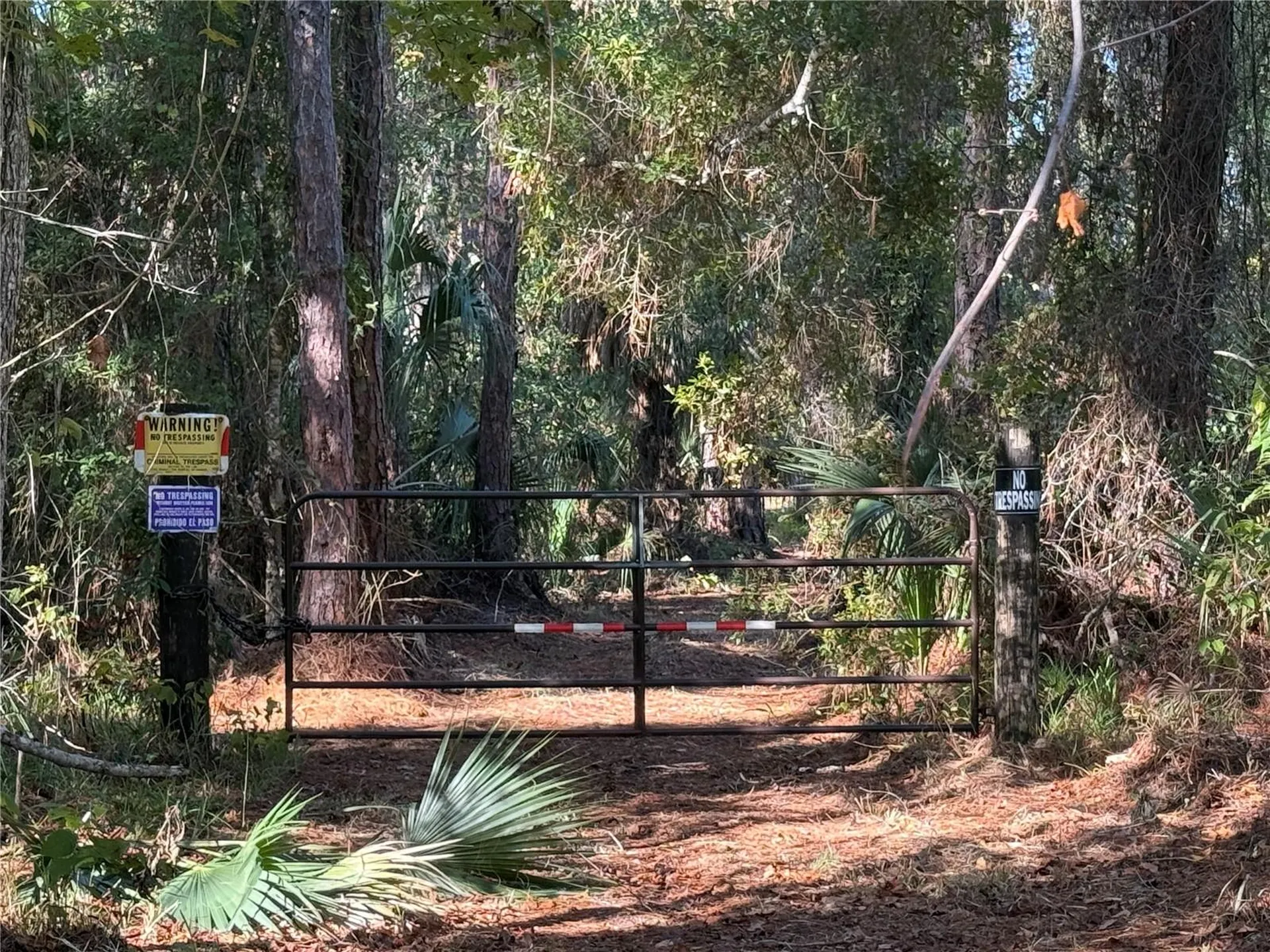 Shoal Line Boulevard Spring Hill FL 34607