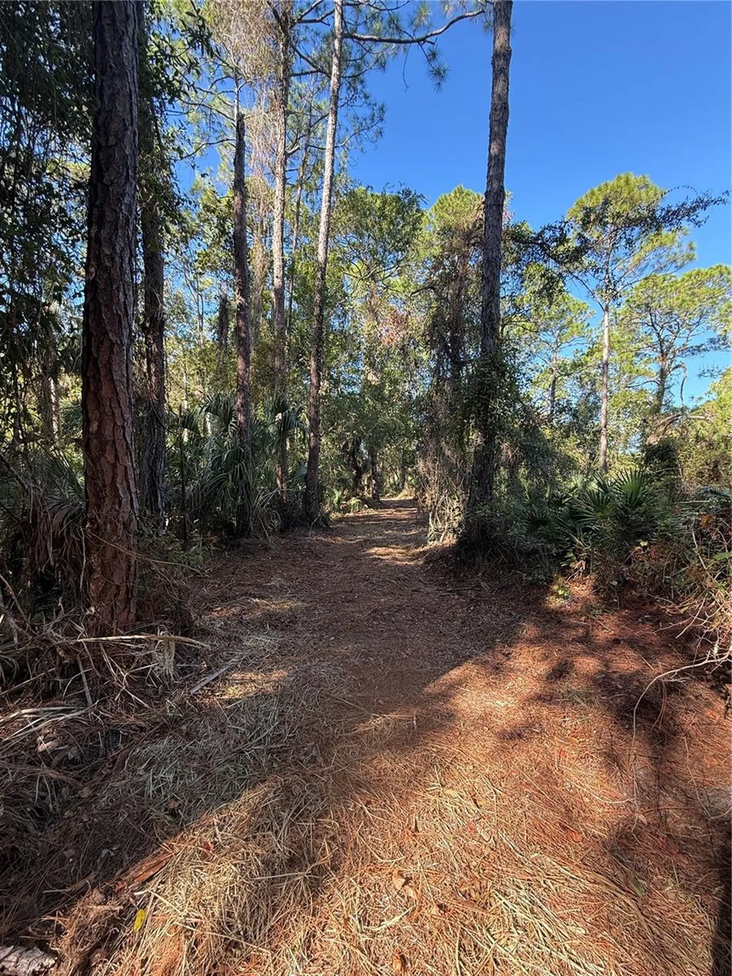 Shoal Line Boulevard Spring Hill FL 34607