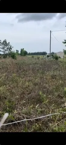 104TH Street Live Oak FL 32060