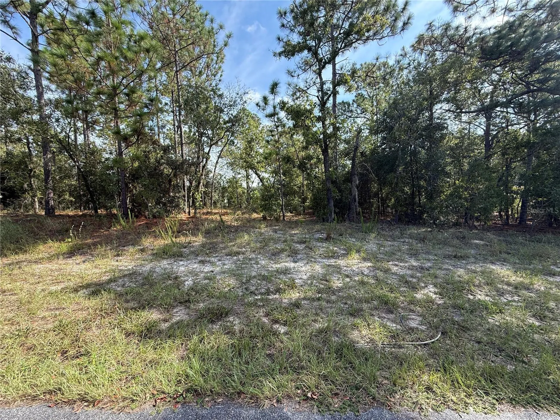 9339 N Milam Way Citrus Springs FL 34434