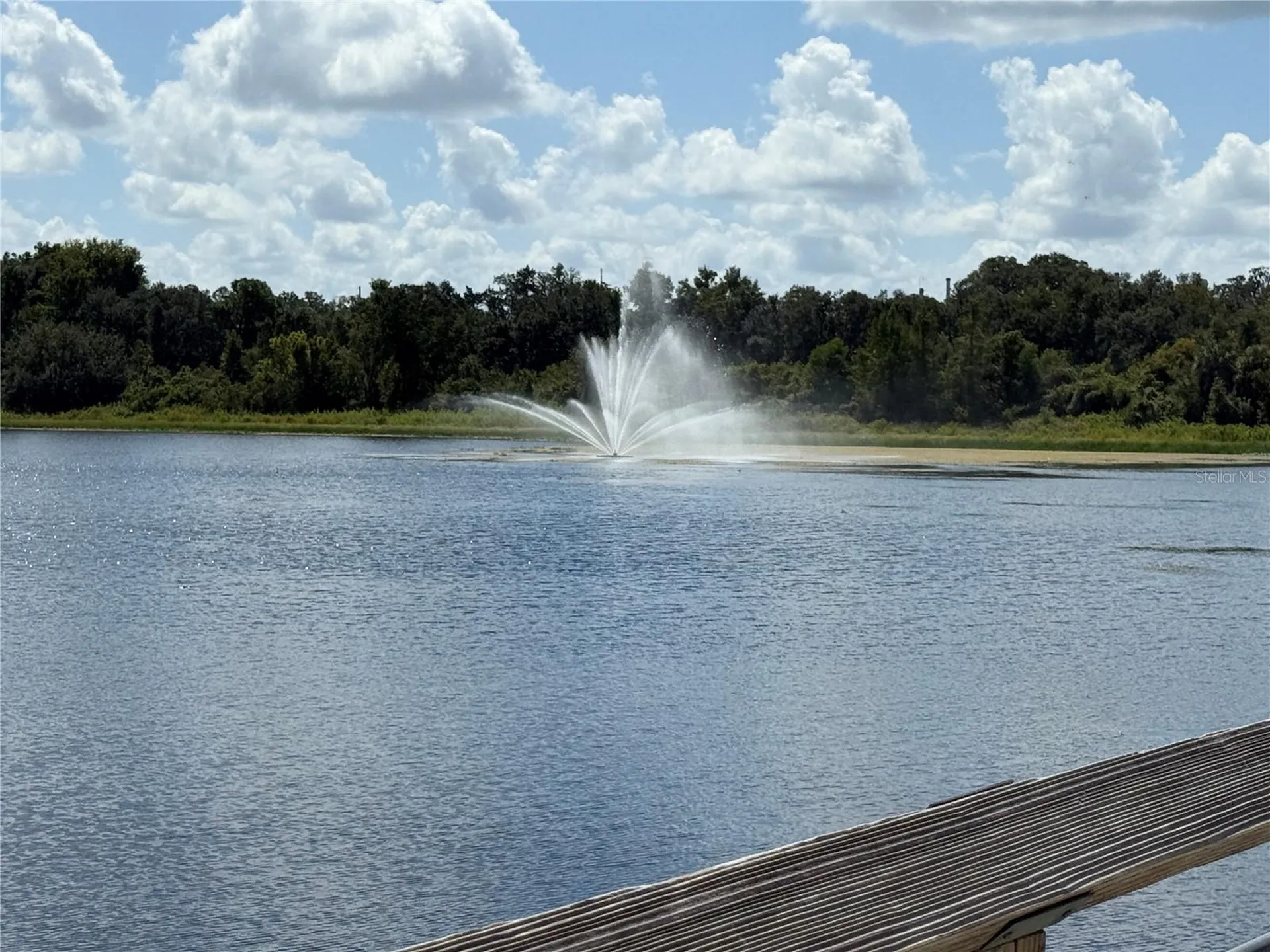 9339 N Milam Way Citrus Springs FL 34434