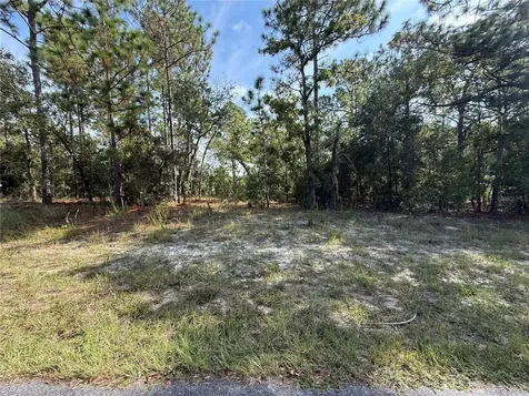9339 N Milam Way Citrus Springs FL 34434