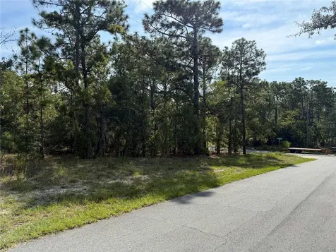 9339 N Milam Way Citrus Springs FL 34434