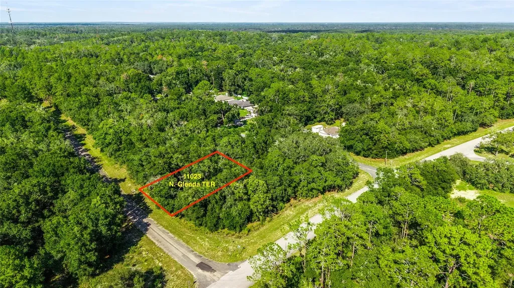 11023 N Glenda Terrace Dunnellon FL 34434