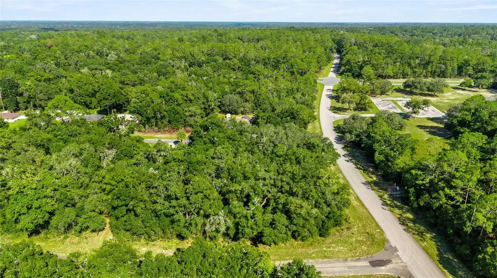 11023 N Glenda Terrace Dunnellon FL 34434