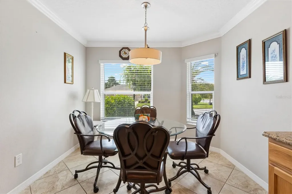 6094 Delphina Loop The Villages FL 32163