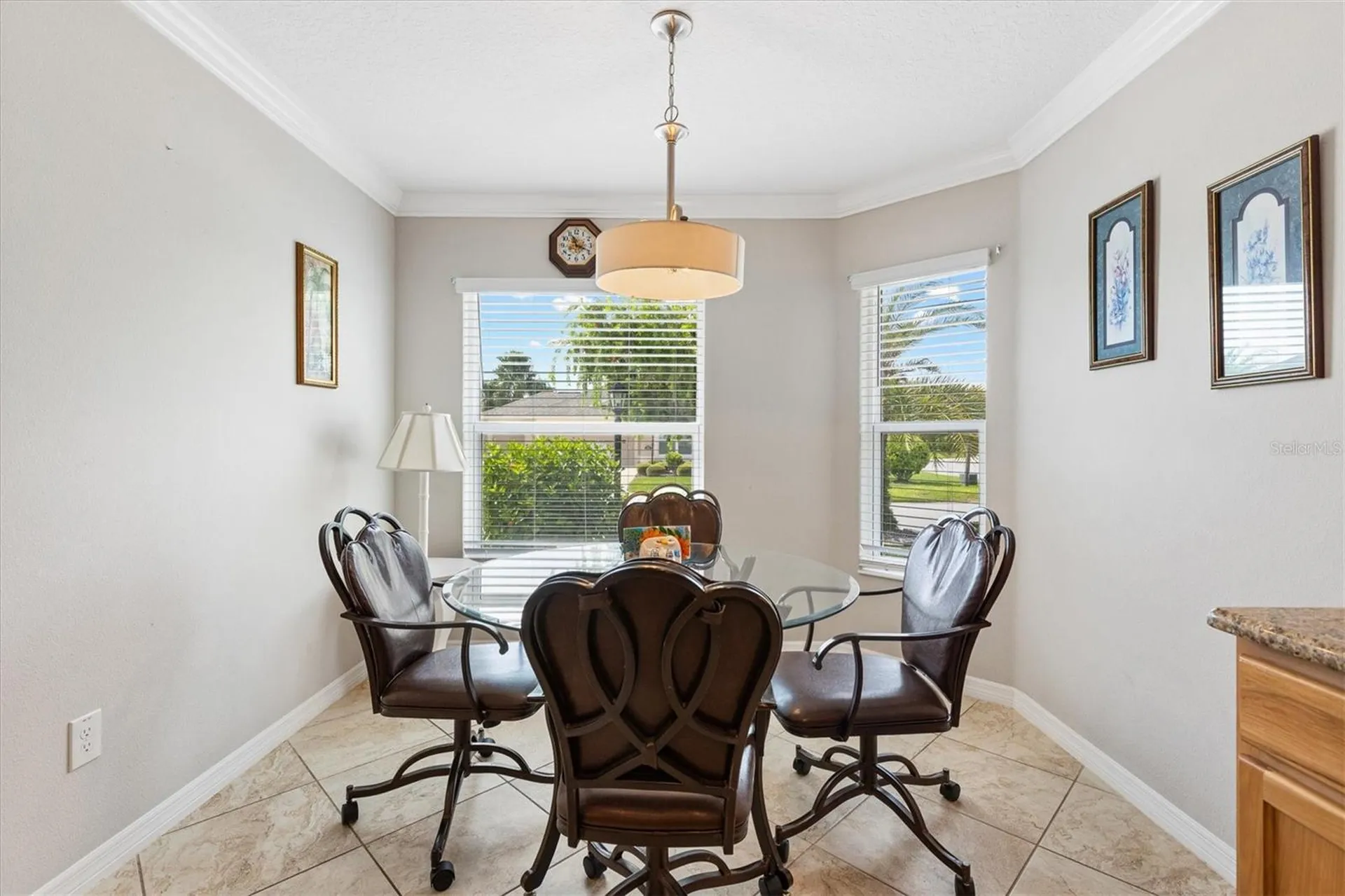 6094 Delphina Loop The Villages FL 32163
