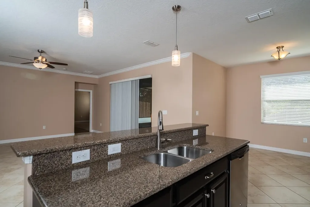 5828 Puzo Place Mount Dora FL 32757