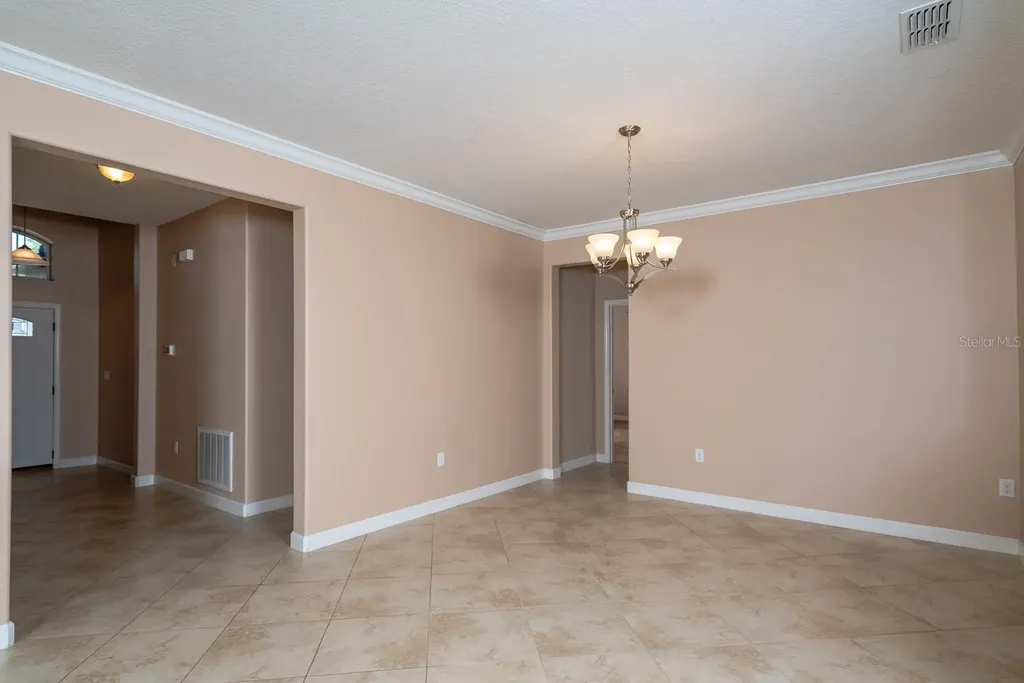 5828 Puzo Place Mount Dora FL 32757