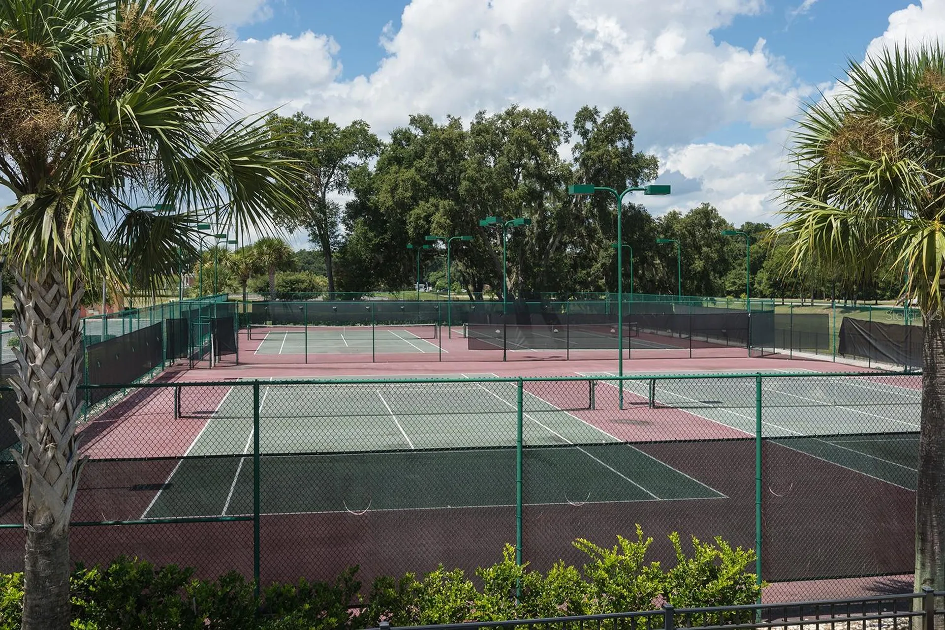 5828 Puzo Place Mount Dora FL 32757