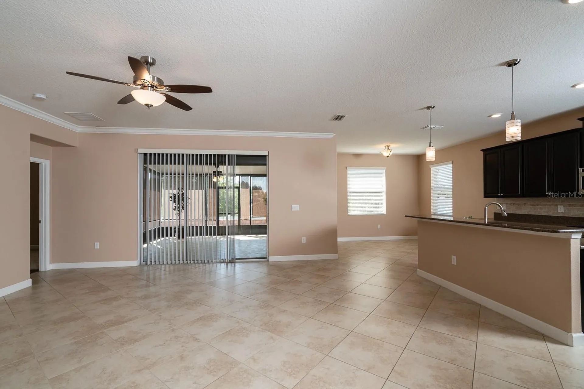 5828 Puzo Place Mount Dora FL 32757