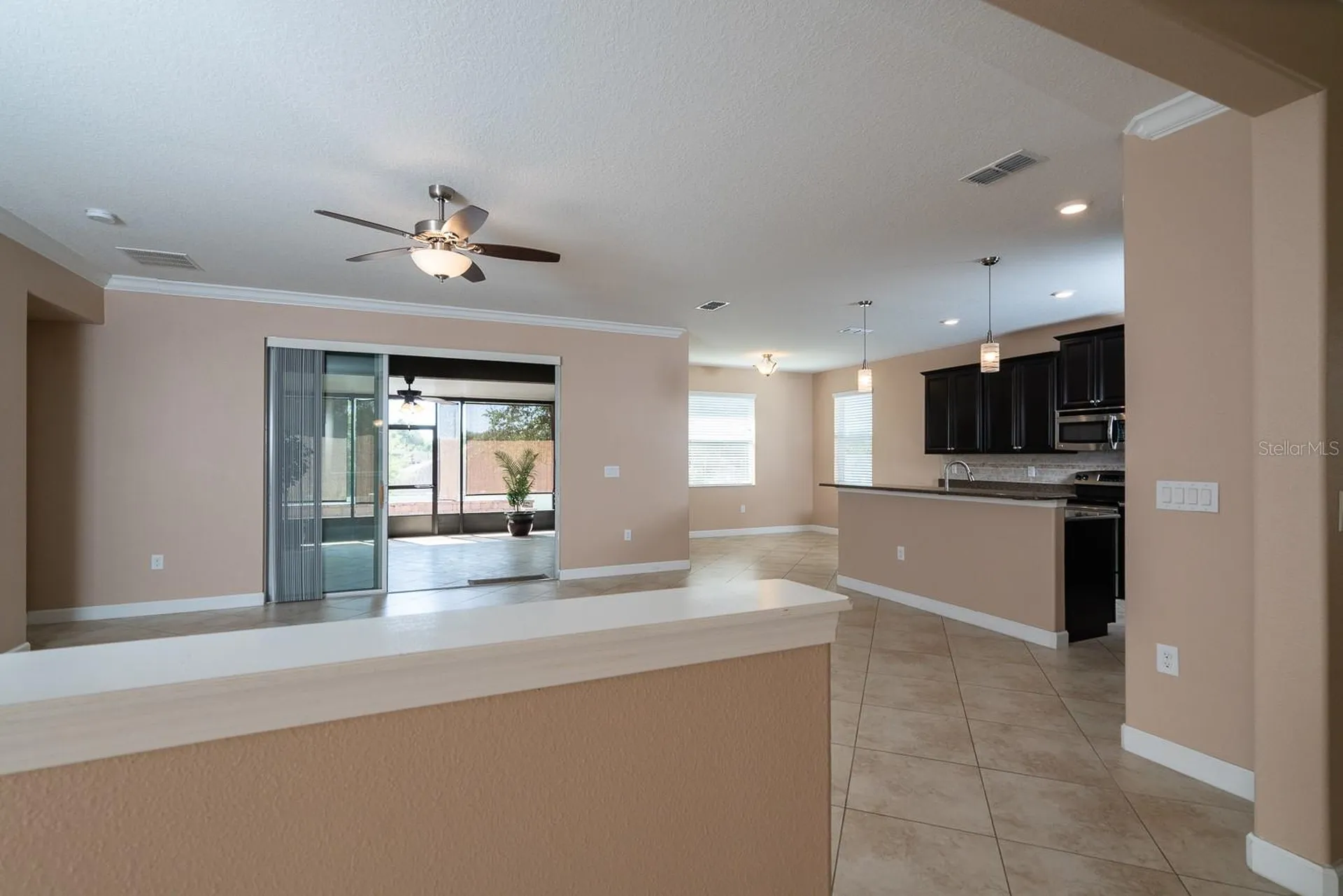 5828 Puzo Place Mount Dora FL 32757