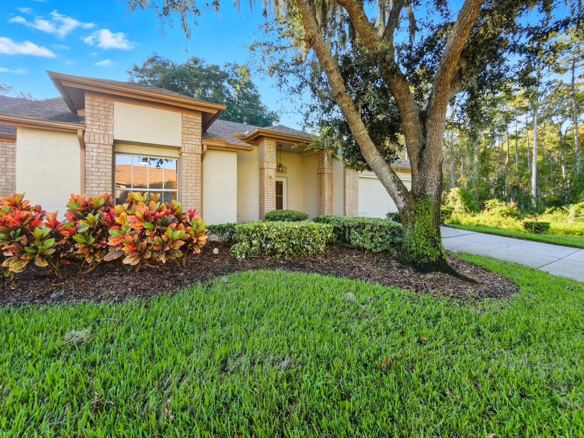 5930 Precious View Court New Port Richey FL 34655