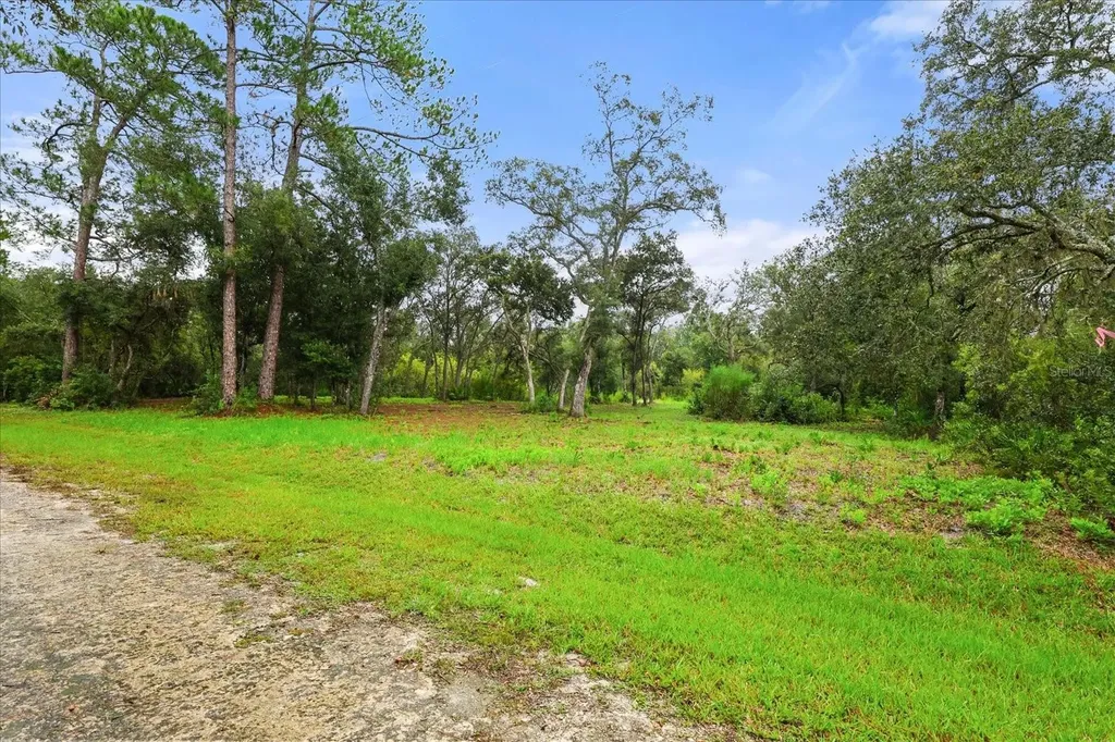 Creekstone Street Webster FL 33597