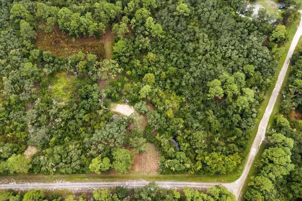 Creekstone Street Webster FL 33597