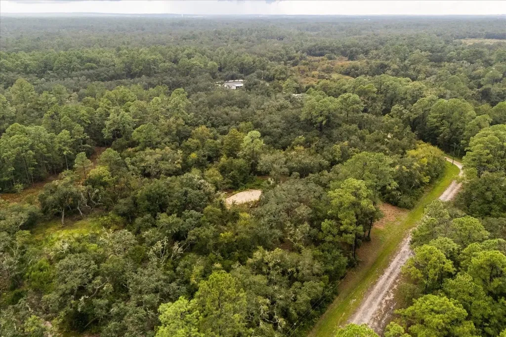 Creekstone Street Webster FL 33597