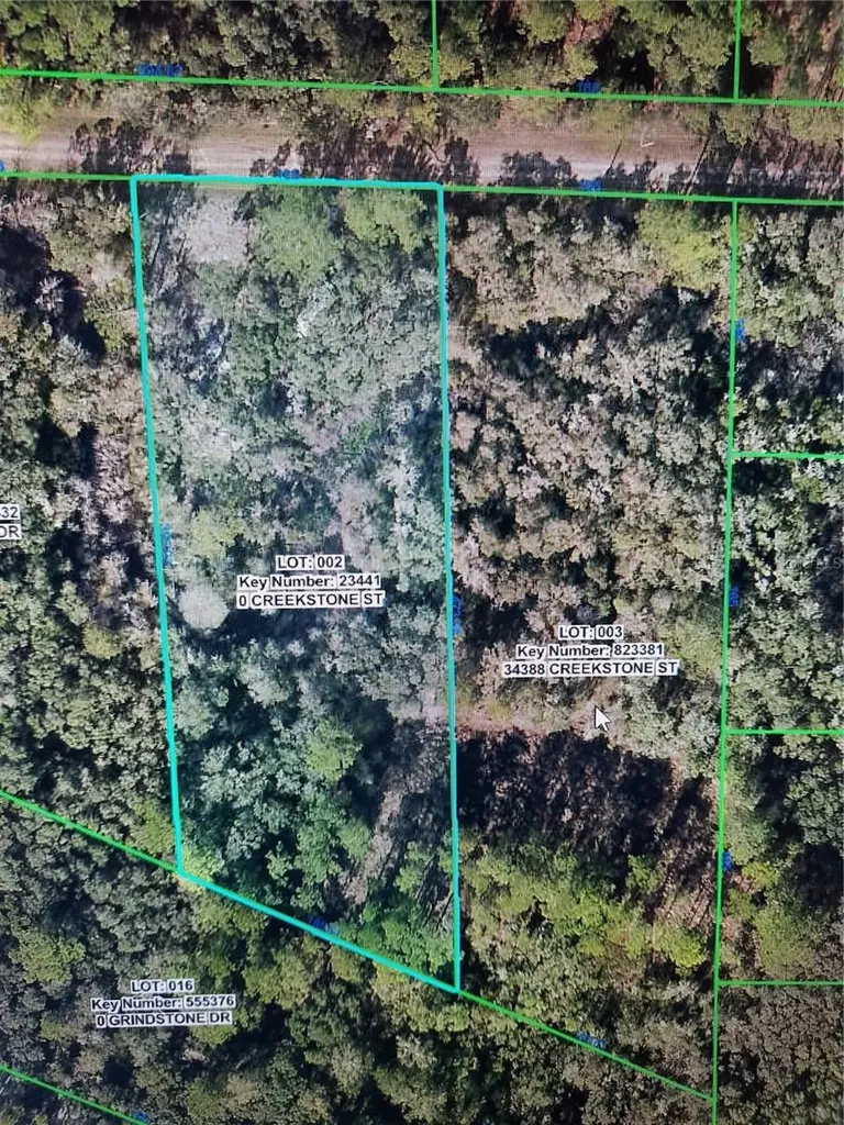 Creekstone Street Webster FL 33597