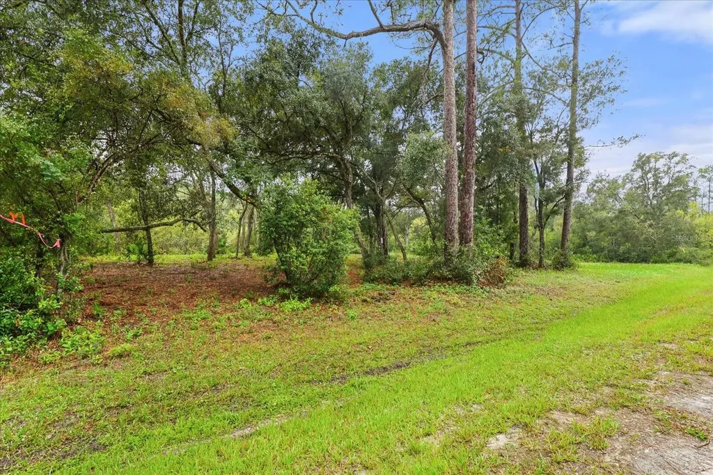 Creekstone Street Webster FL 33597