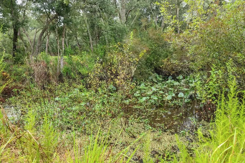 Creekstone Street Webster FL 33597