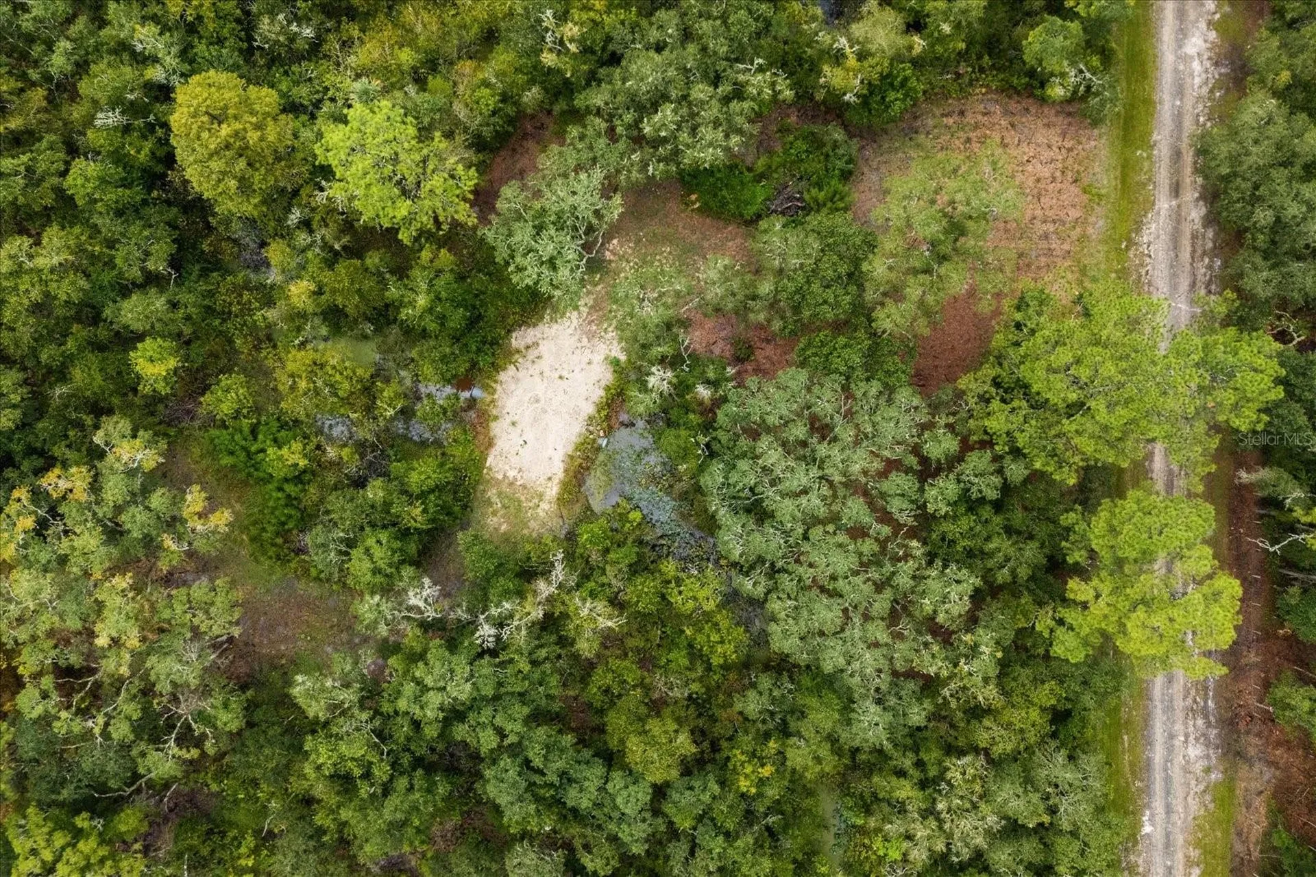 Creekstone Street Webster FL 33597