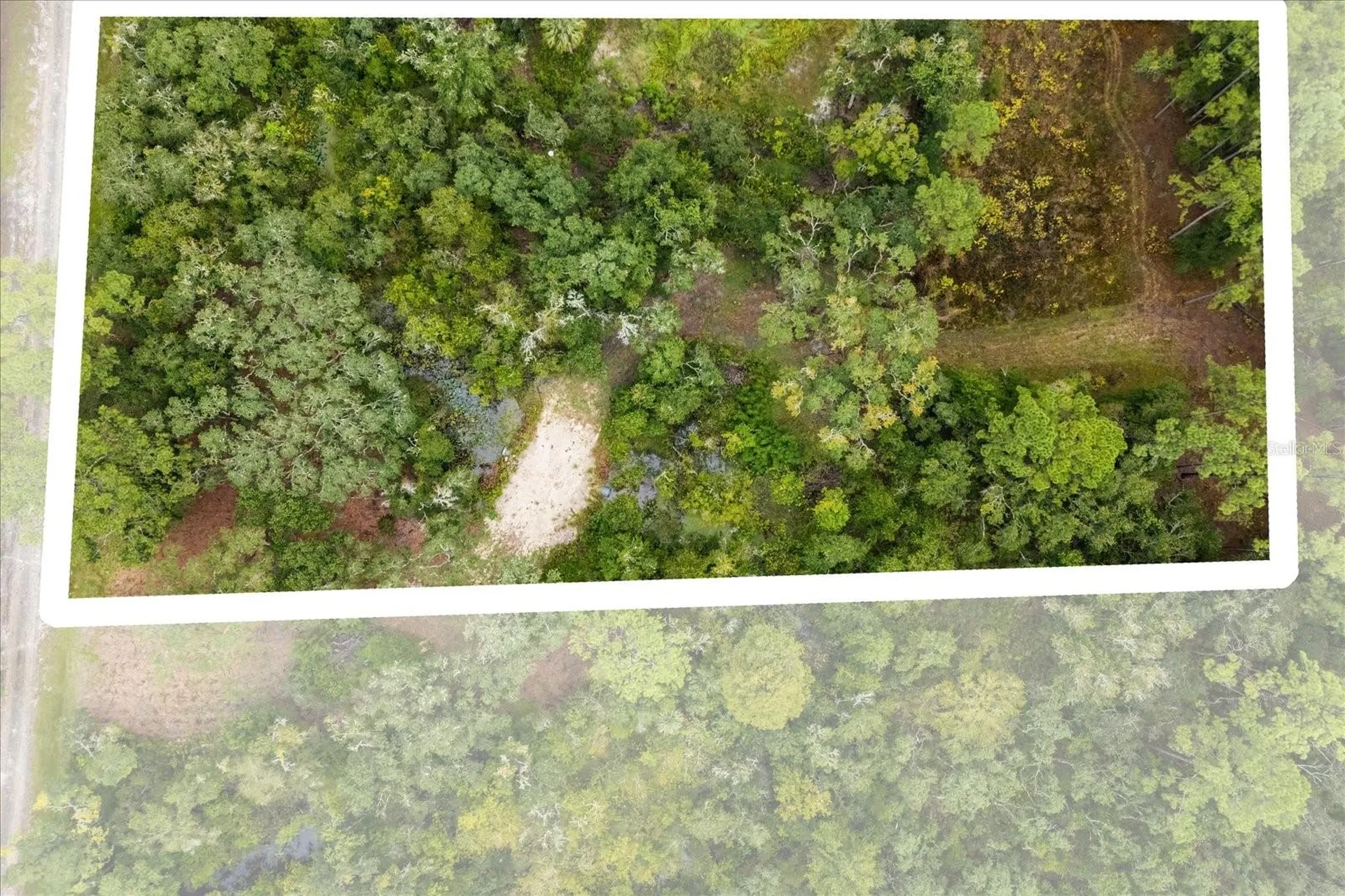 Creekstone Street Webster FL 33597