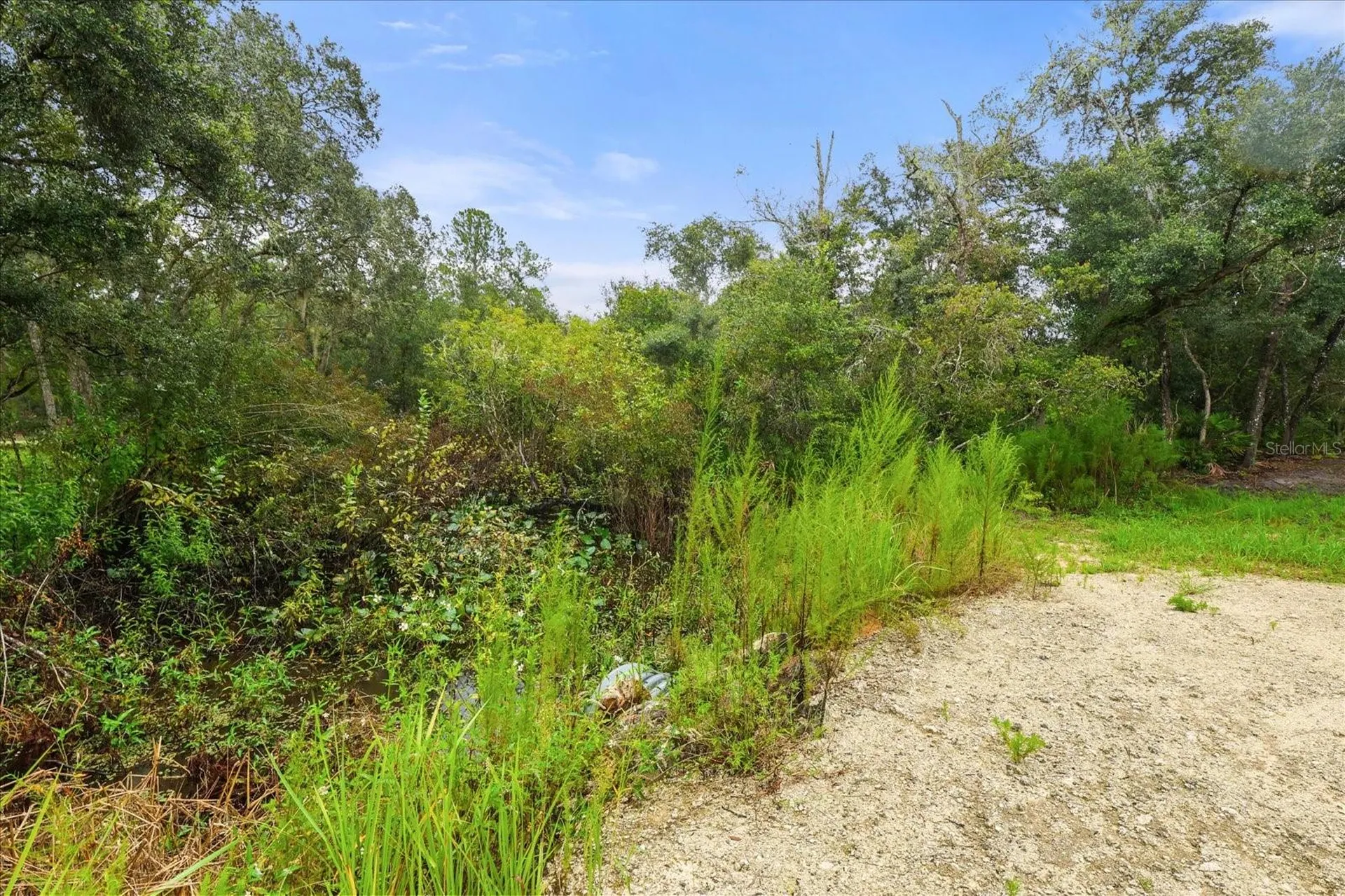 Creekstone Street Webster FL 33597