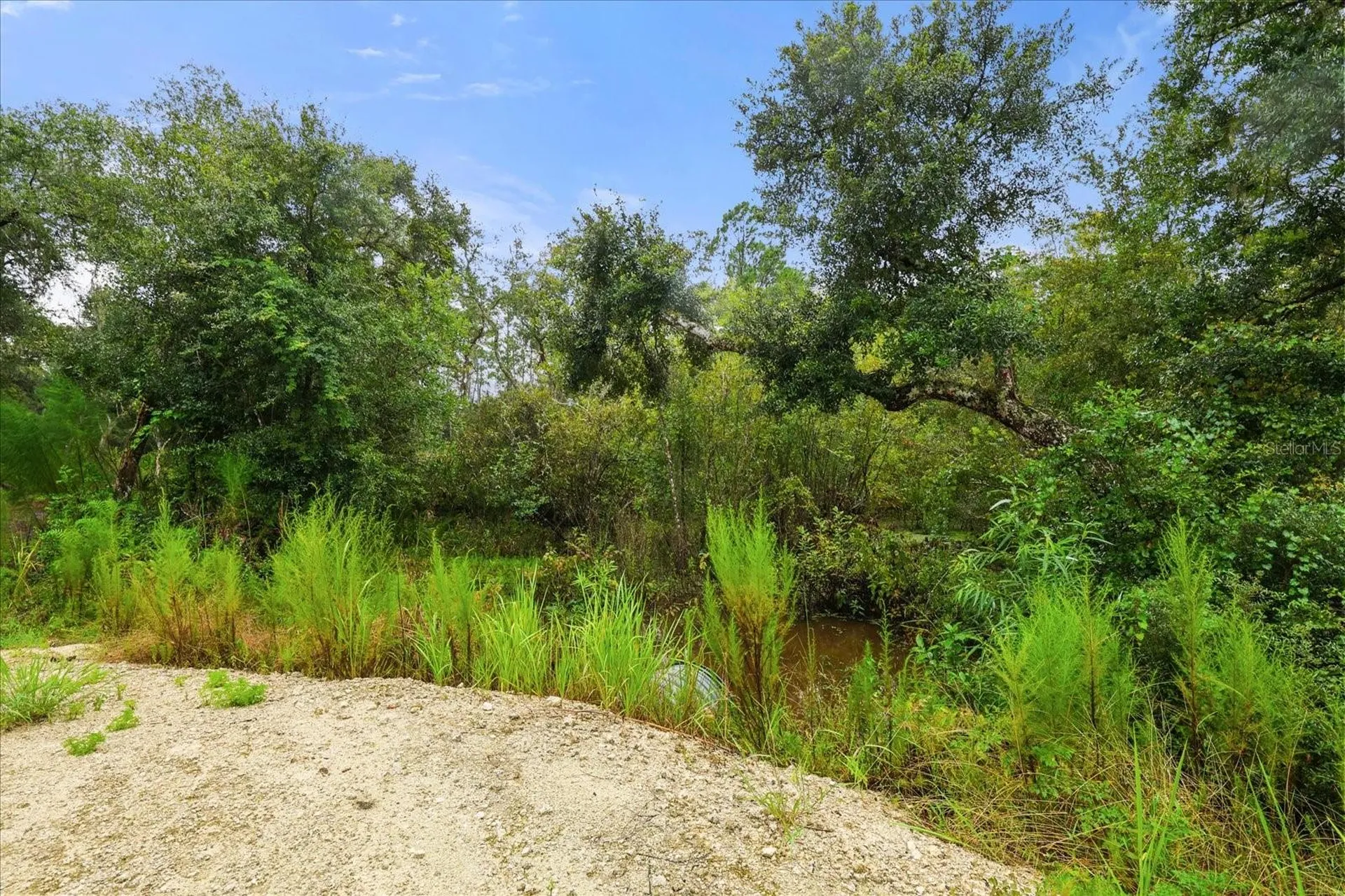 Creekstone Street Webster FL 33597