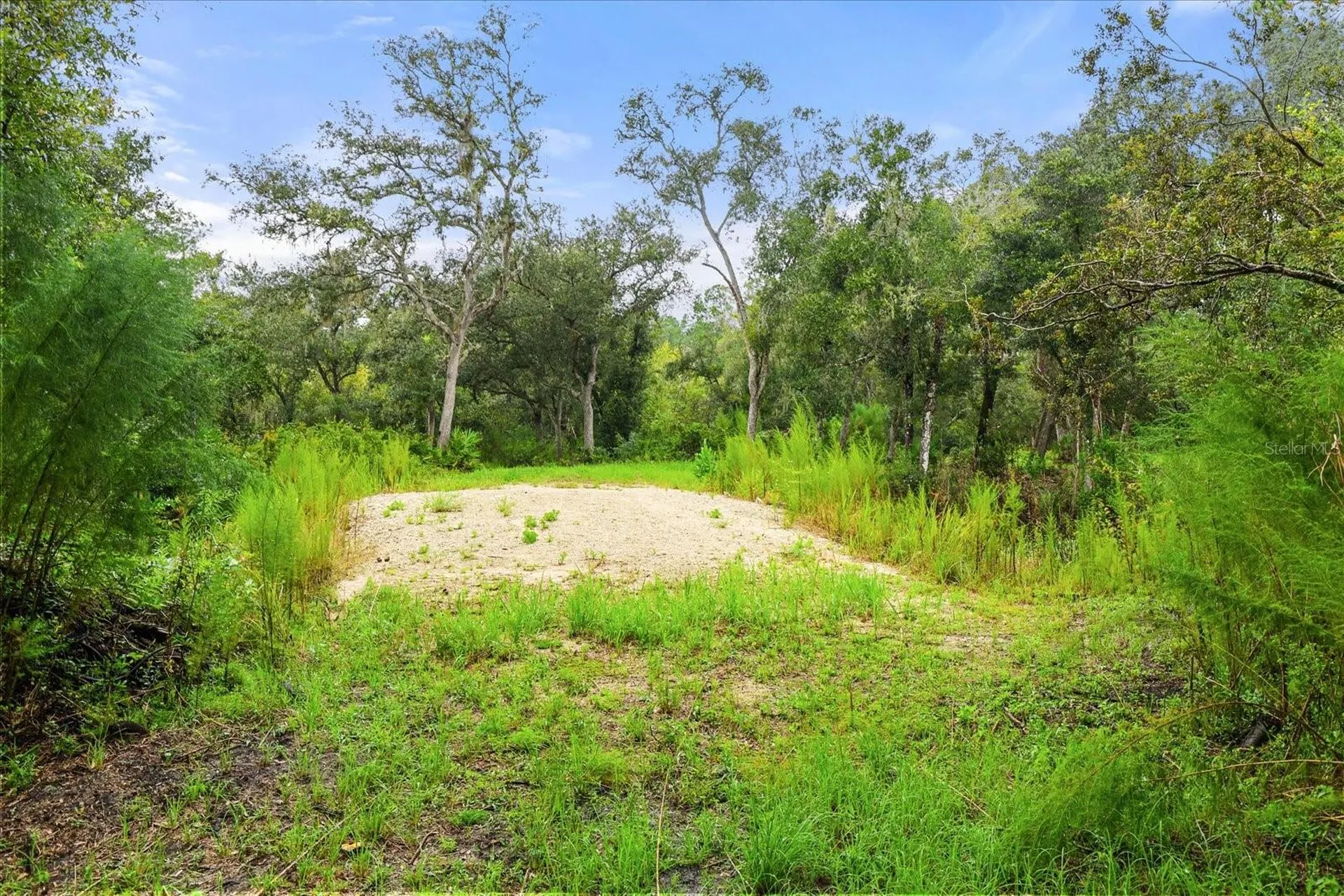 Creekstone Street Webster FL 33597