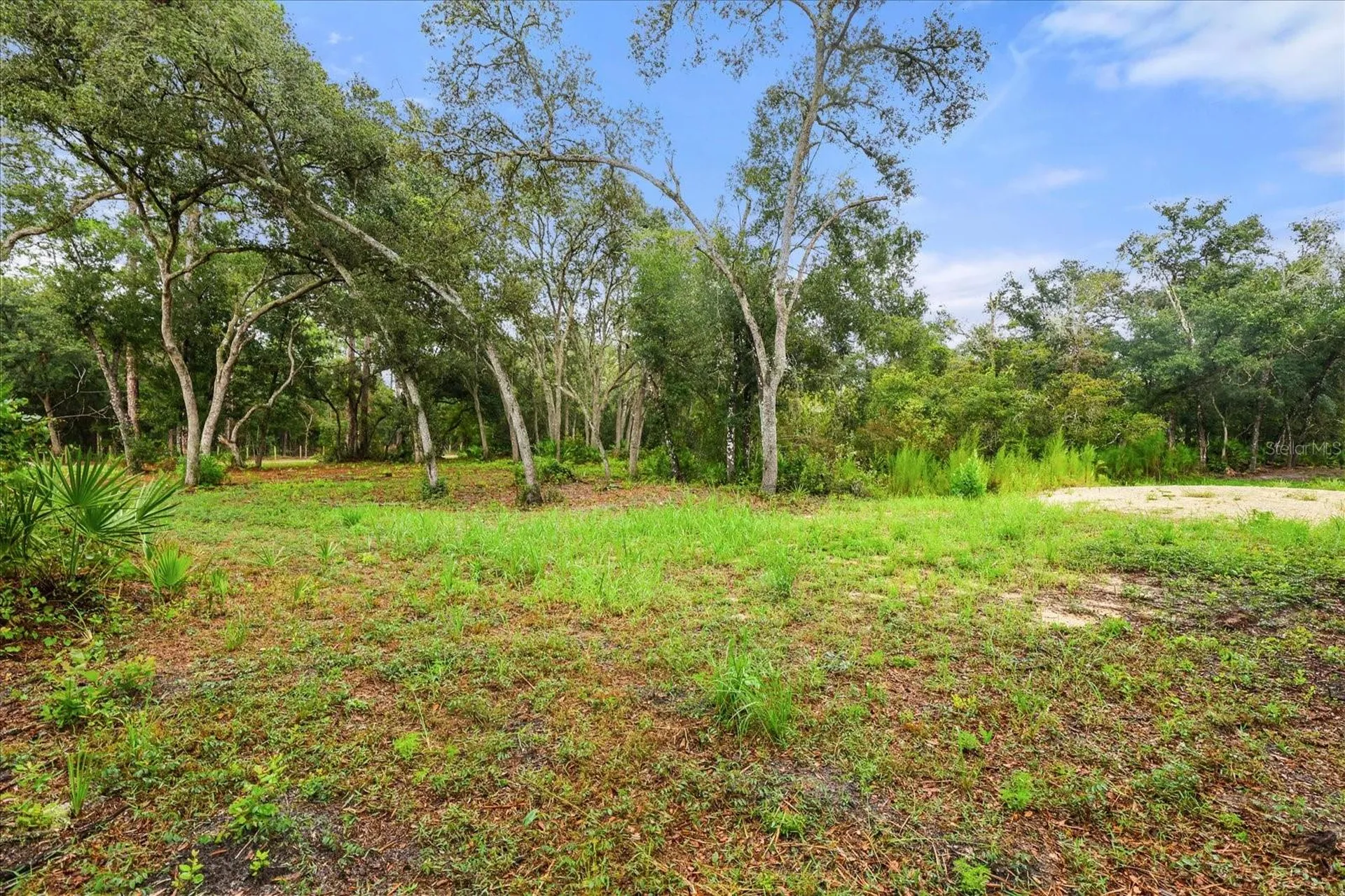 Creekstone Street Webster FL 33597