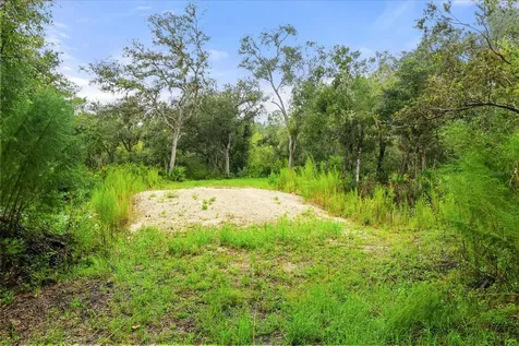 Creekstone Street Webster FL 33597
