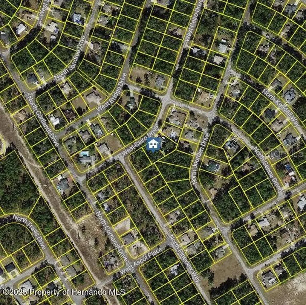 1176 W Cairo Drive Citrus Springs FL 34434