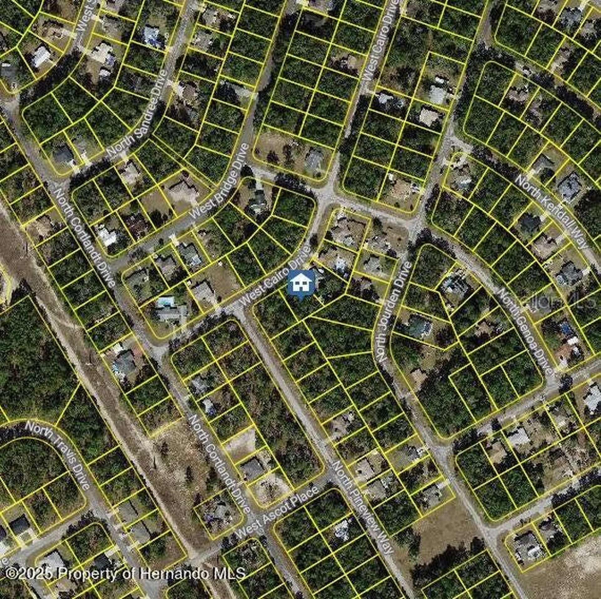 1176 W Cairo Drive Citrus Springs FL 34434